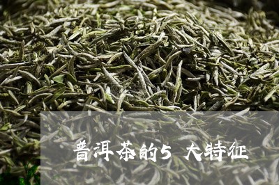 普洱茶的5大特征/2023031662826