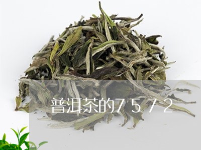 普洱茶的7572/2023041091692