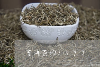 普洱茶的7592/2023031630384