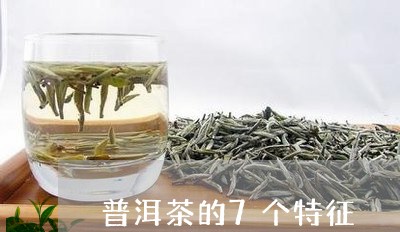 普洱茶的7个特征/2023031657392