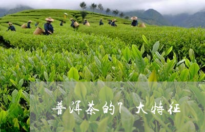 普洱茶的7大特征/2023031602613