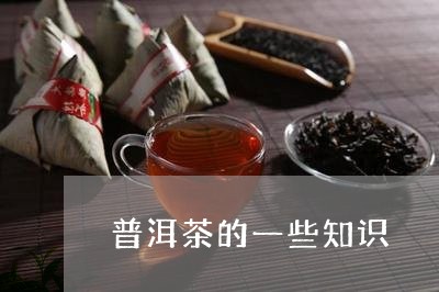 普洱茶的一些知识/2023033119380