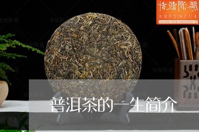 普洱茶的一生简介/2023033183057