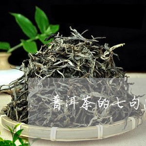 普洱茶的七句忠告/2023040152605