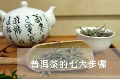 普洱茶的七大步骤/2023033060806