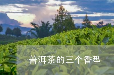 普洱茶的三个香型/2023041325240