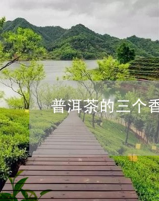 普洱茶的三个香气/2023041365149