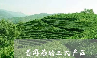 普洱茶的三大产区/2023041303050