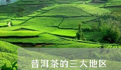 普洱茶的三大地区/2023033052916