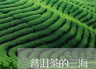 普洱茶的三海一河/2023033174161