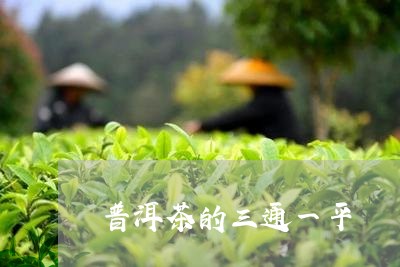 普洱茶的三通一平/2023033071714