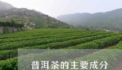 普洱茶的主要成分/2023031668470