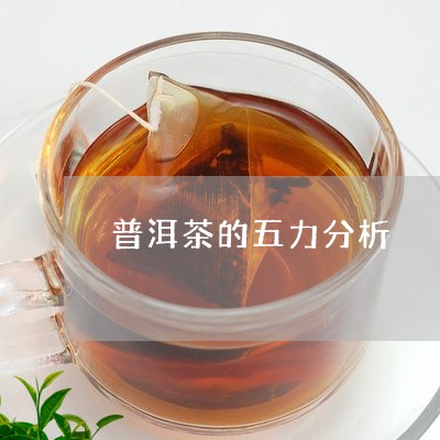 普洱茶的五力分析/2023033066937