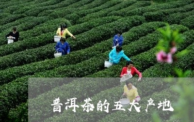 普洱茶的五大产地/2023033020494