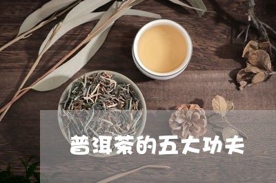 普洱茶的五大功夫/2023033094037