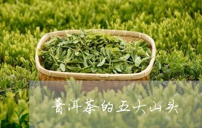 普洱茶的五大山头/2023031860603