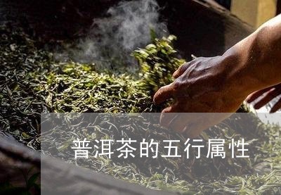 普洱茶的五行属性/2023033197069