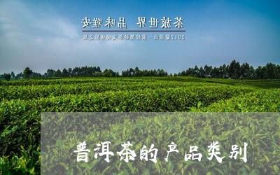 普洱茶的产品类别/2023033154725