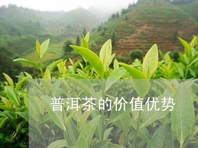 普洱茶的价值优势/2023040962713