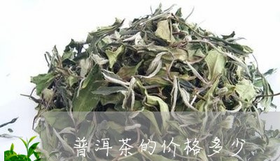 普洱茶的价格多少/2023041318205