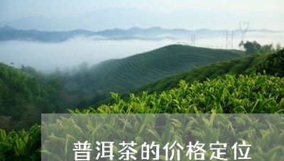 普洱茶的价格定位/2023041069473