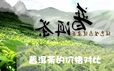 普洱茶的价格对比/2023041304150