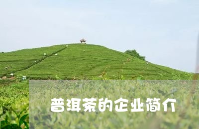 普洱茶的企业简介/2023040168471