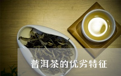 普洱茶的优劣特征/2023041307251