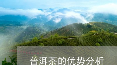 普洱茶的优势分析/2023033062837