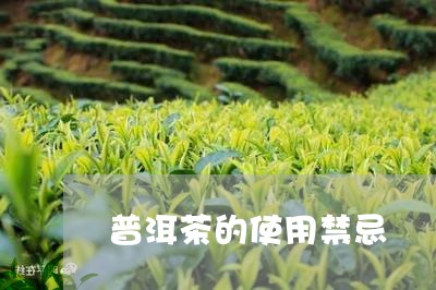 普洱茶的使用禁忌/2023041211736