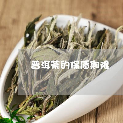 普洱茶的保质期限/2023041323026