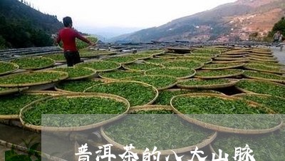 普洱茶的八大山脉/2023033019375