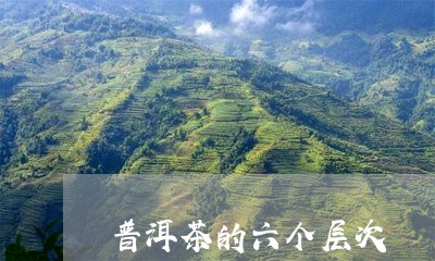 普洱茶的六个层次/2023033199829