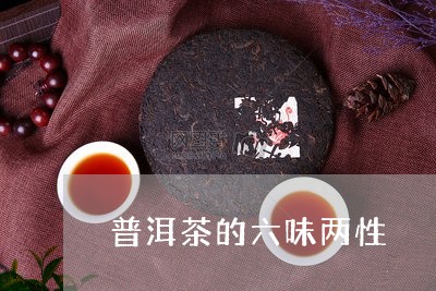 普洱茶的六味两性/2023033068593