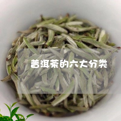 普洱茶的六大分类/2023033009701