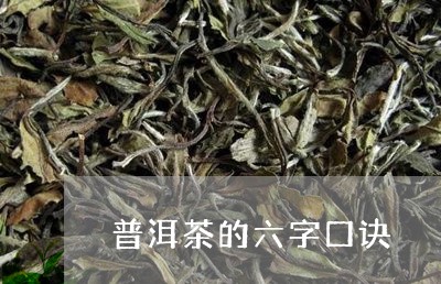 普洱茶的六字口诀/2023033058160