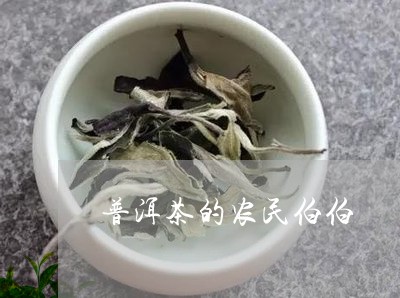 普洱茶的农民伯伯/2023040991816