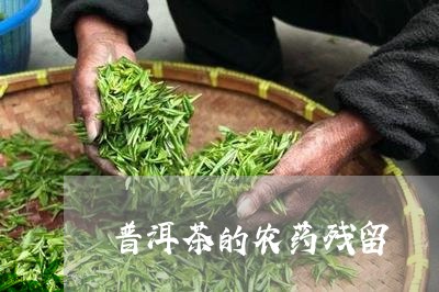 普洱茶的农药残留/2023041257392