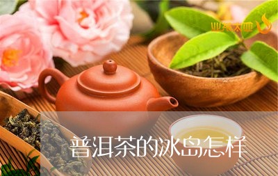 普洱茶的冰岛怎样/2023031738381