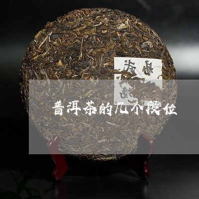 普洱茶的几个段位/2023041009360