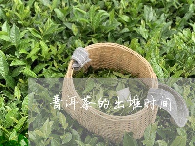 普洱茶的出堆时间/2023040196350