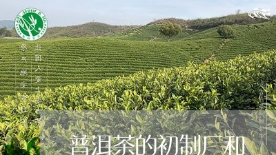 普洱茶的初制厂和/2023033182158