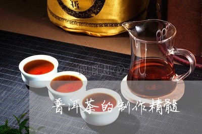 普洱茶的制作精髓/2023040950593