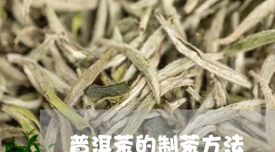 普洱茶的制茶方法/2023041151513