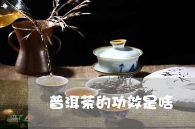 普洱茶的功效是啥/2023041369527