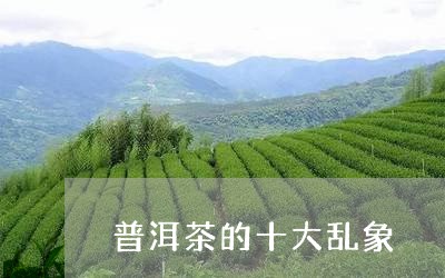 普洱茶的十大乱象/2023033071606