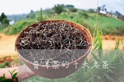 普洱茶的十大名茶/2023033062736