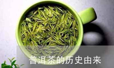 普洱茶的历史由来/2023040900482