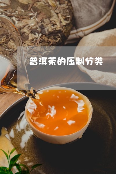 普洱茶的压制分类/2023040924057