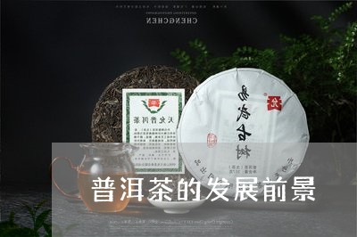 普洱茶的发展前景/2023031724836